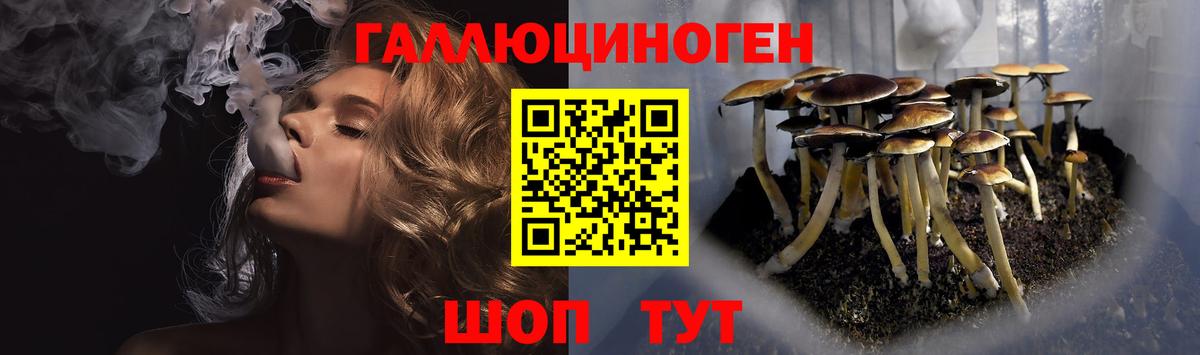 Псилоцибиновые грибы Psilocybe Электросталь